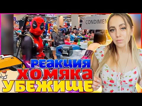 Видео: LIKE A BOSS COMPILATION #101 AMAZING Videos 2023 #ЛайкЭбосс |РЕАКЦИЯ на  - Убежище Хомяка