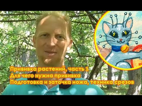 Видео: А.Петров. Прививка растений, ч.1. Для чего нужна прививка.Подготовка и заточка ножа, техника срезов