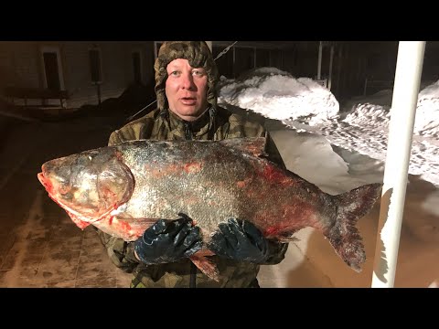 Видео: САМАЯ БЮДЖЕТНАЯ РЫБА ! МИНТАЙ НА СКОВОРОДЕ #рецепт #жареная #рыба