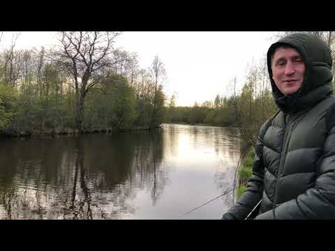 Видео: Рыбалка на реке Сестра. Пешая рыбалка.