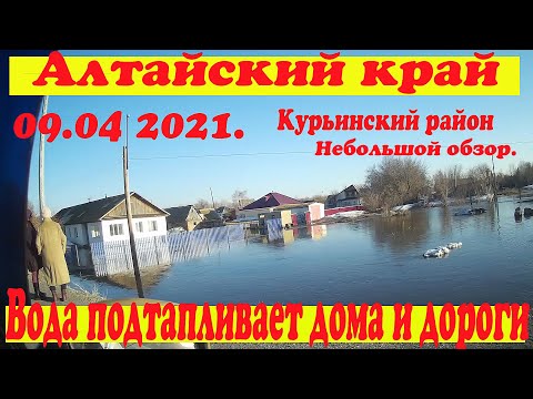 Видео: Вода пришла в Алтайский край