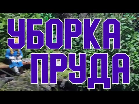 Видео: НАВОДИМ ПОРЯДОК НА ПРУДУ .