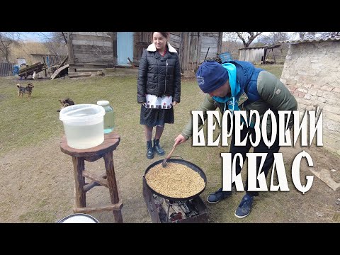 Видео: БЕРЕЗОВИЙ  КВАС | Як у Повчанській ТГ на Рівненщині до літа готуються