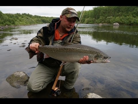 Видео: Рыбалка на Кольском - Часть2 (р.Титовка, р.Печенга)