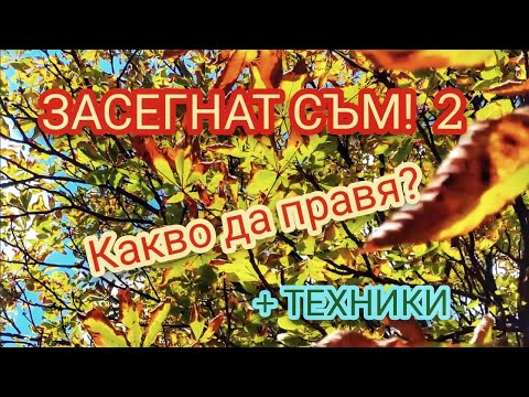 Видео: ЗАСЕГНАТ СЪМ! Какво да правя?  + ТЕХНИКИ | 2-ра част | @ВЕКТОР