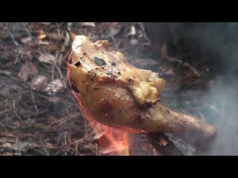 Видео: Отмечаю 23 февраля в лесу Курица на костре из сырых дров