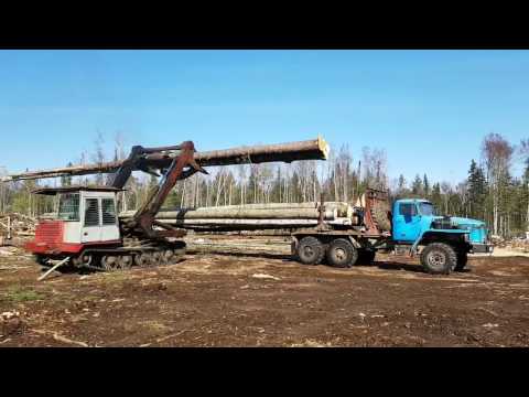 Видео: Весенний день в тайге и лесовозы на вывозе хлыстов!