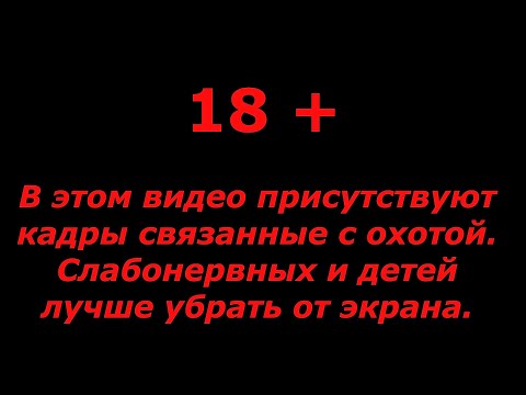 Видео: ВЕСНОВКА 2023 \ Часть 10 \ СОБИРАЕМ ДОБЫТЫХ УТОК \ ЖИЗНЬ В ТАЙГЕ \ БЛЮДО "ВЕСНОВКА 23"