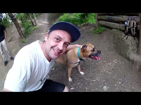 Видео: MTB Южен парк Step up FUSION EP 2 скокове с байк Дани Йорданов скача много