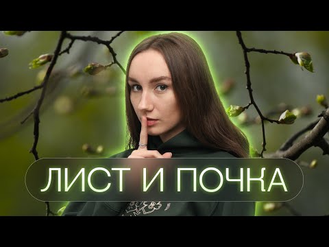 Видео: Лист и почка | Катя Грицай | Биология ЕГЭ