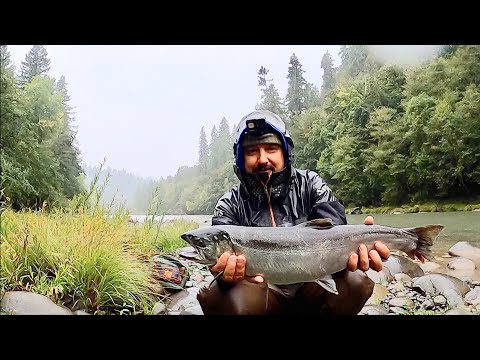 Видео: СЧАСТЛИВАЯ БЛЕСНА, ПРОДОЛЖЕНИЕ. ЛОСОСЬ - КИЖУЧ. РЫБАЛКА В АМЕРИКЕ. ПЛЮС БОНУС.