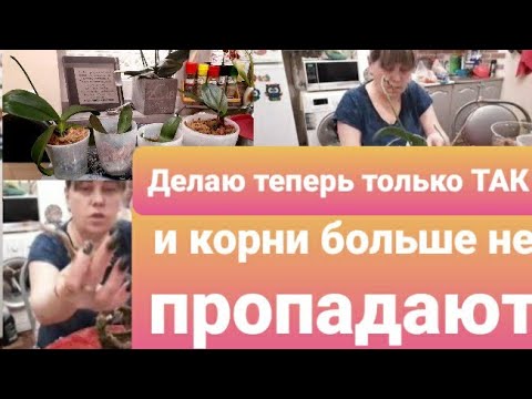 Видео: Выращивать Орхидеи без потерь/Замена Субстрата без потерь корней/чем обработать Срез❓ Смотрите видео