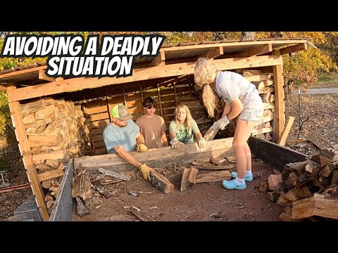 Видео: Мы не повторим эту смертельную ошибку