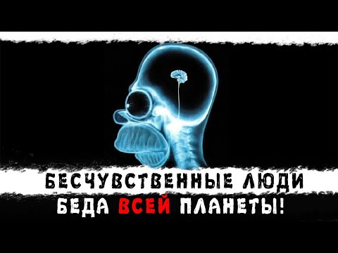 Видео: Бесчувственность друг к другу. К чему приводит пофигизм? 09.2022 г
