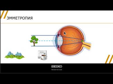 Видео: Виды клинической рефракции глаза.