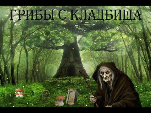 Видео: грибы с кладбища ужастик