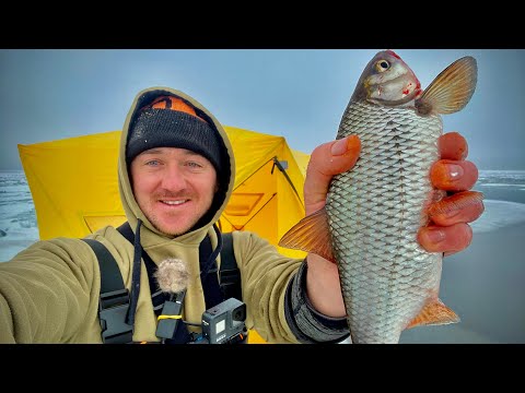 Видео: Наконец-то!!! Попали на раздачу КРУПНЫХ БАТОНОВ!!!