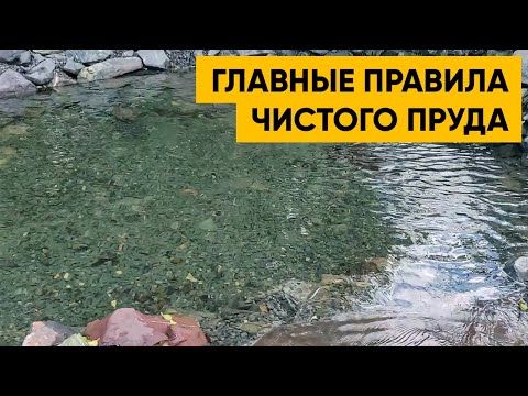 Видео: ПРОЗРАЧНАЯ ВОДА В ПРУДУ. Как построить кристально чистый пруд? Пример прозрачного пруда.