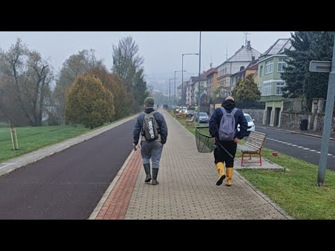 Видео: рыбалка в ламповой компании