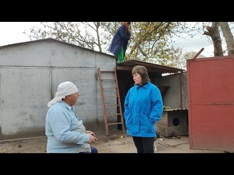 Видео: ЛИСТЯ СИПЕ ТА СИПЕ.. ЗАБРАЛИСЯ НА ДАХ!