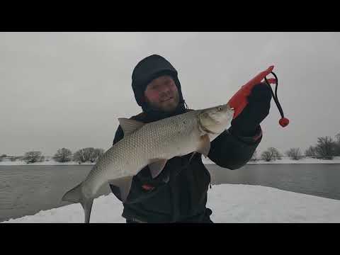 Видео: Зимний СПИННИНГ на Москва-реке! Джиг, ловля ЖЕРЕХА и НОЧНОГО СУДАКА НА ВОБЛЕРЫ!