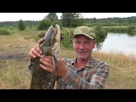 Видео: Открытие сезона на сома. Рыбалка в Беларуси на реке Свислочь.