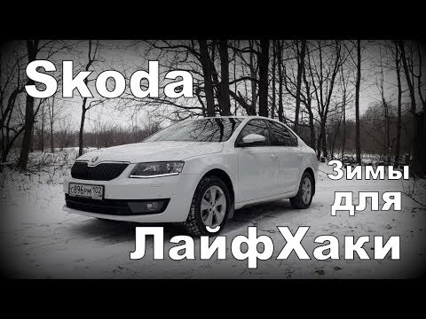 Видео: Skoda: ЛайфХаки Зимы (2020)