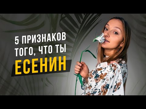 Видео: 5 признаков того, что ты Есенин. Соционика