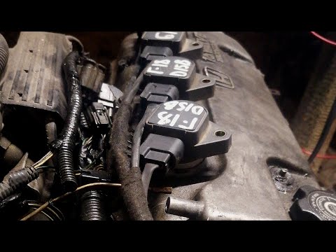 Видео: коса на катухи