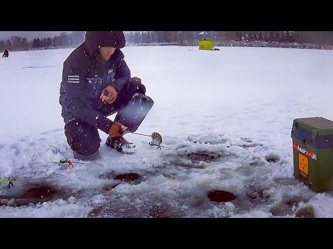 Видео: Люті морози/Зимова рибалка 2025/Водосховище/Хотомля/Плотва/Подлещ