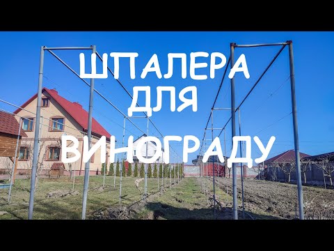 Видео: 🔴🇺🇦Шпалера для Винограду