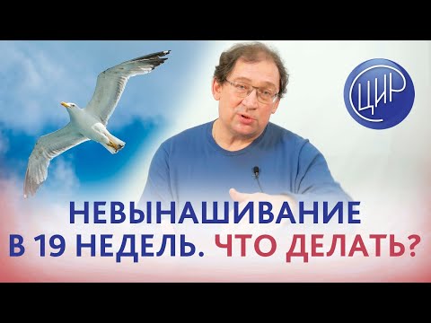 Видео: Замершая беременность в 19 недель - тактика обследования. Гузов И.И.