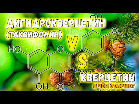 Видео: Дигидрокверцетин (таксифолин) лучше кверцетина? 🌲 Самые свежие научные факты от врача