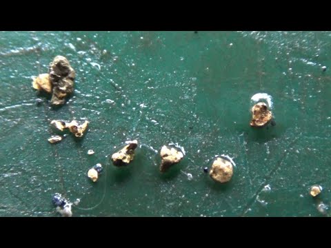 Видео: Золото из борта золотоносного ручья! #2