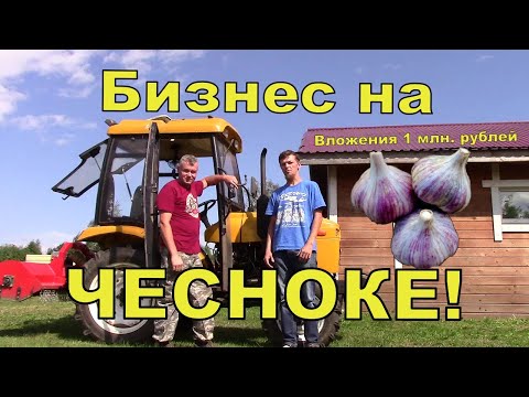 Видео: Выращивание чеснока. Чесночный бизнес. Бизнес в деревне.