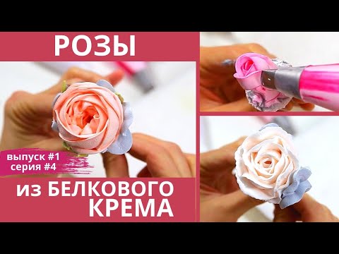 Видео: ЦВЕТЫ из белкового КРЕМА. Три вида кремовых роз. Торт по заявкам #1 серия #4