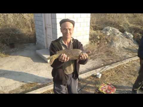 Видео: 13.11.2025йил