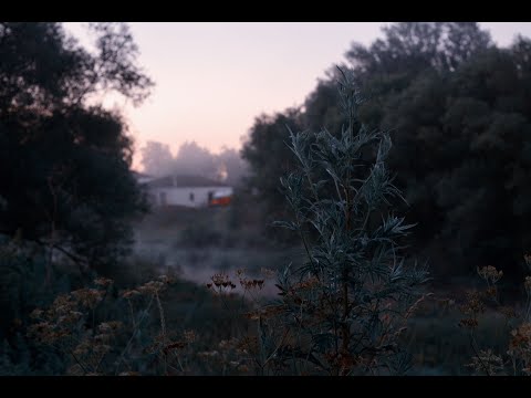 Видео: Грустит тот, кому не всё равно.