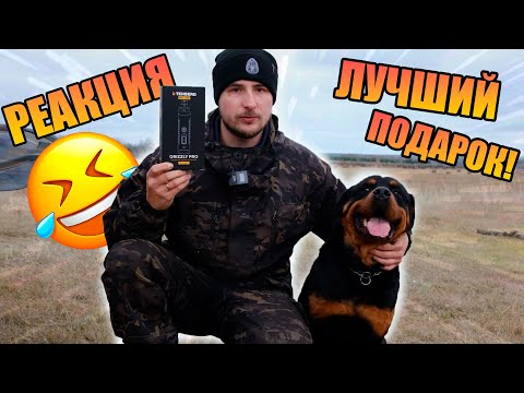 Видео: Купил гриндер для крупных собак Tenberg Grizzly Pro / Первая реакция РОТВЕЙЛЕРА😂