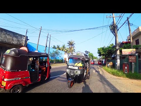 Видео: Шри-Ланка. Поехал в Унаватуну. Черепашья ферма и Стритфуд. Пагода Мира #96