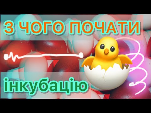 Видео: ❌НЕ ЗАКЛАДАЙТЕ ІНКУБАТОР⛔️поки не подумаєте головою🇺🇦НЕ ВТРАЧАЙТЕ ЧАС