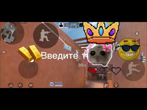 Видео: 6 ноября 2025 г.