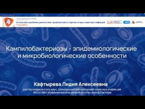 Видео: Кампилобактериозы - эпидемиологические и микробиологические особенности