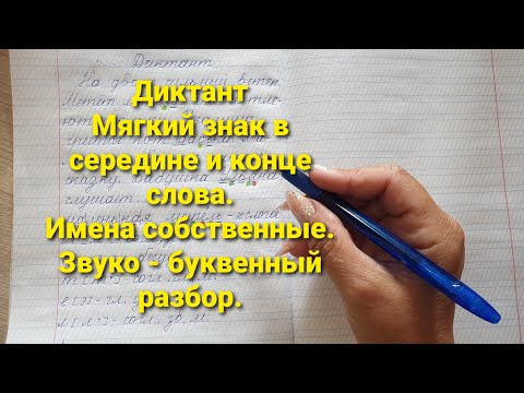 Видео: Диктант по теме "Мягкий знак в середине и на конце слов"