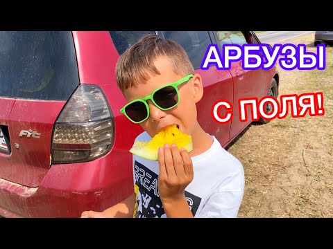 Видео: Арбуз прямо с поля! Рыбачим || Воруем кукурузу и подсолнухи || Где остановились ночевать?