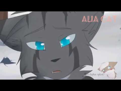 Видео: Skillet шепот в темноте(англ.)