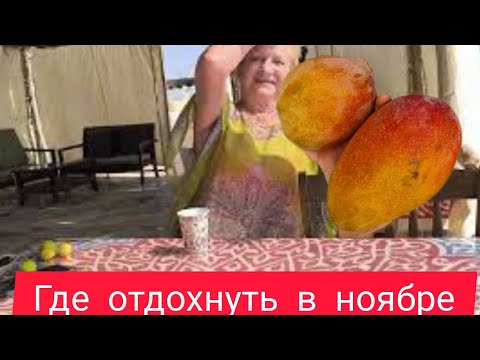 Видео: 28 октября 2025 г. Лето в ноябре.