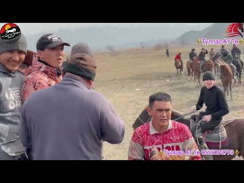 Видео: 🇰🇬🔥Узген шаары, Мырзарык жамаатынын аламан улагы👍орт болду🔥