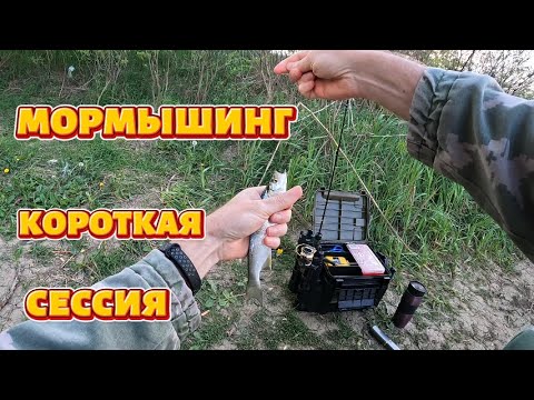 Видео: Мормышинг  Короткая сессия.
