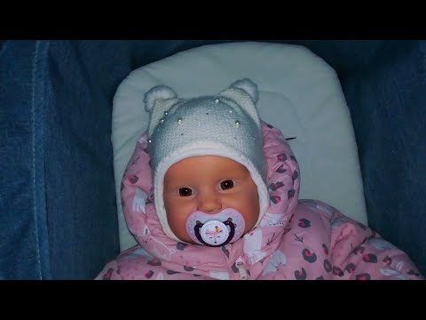 Видео: ПРОГУЛКА С РЕБОРНОМ В КОЛЯСКЕ